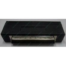 Переходник SCSI внутренний 50M - 68M (Северодвинск)