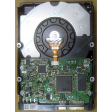 HDD Sun 500G 500Gb в Северодвинске, FRU 540-7889-01 в Северодвинске, BASE 390-0383-04 в Северодвинске, AssyID 0069FMT-1010 в Северодвинске, HUA7250SBSUN500G (Северодвинск)