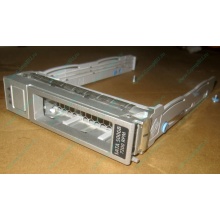 Салазки Sun 350-1386-04 в Северодвинске, 330-5120-04 1 для HDD (Северодвинск)