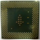 Процессор Intel Celeron 1000A SL5ZF (1000MHz /256kb /100MHz /1.475 V) s370 (Северодвинск)