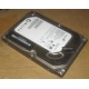 Жесткий диск HP 500G 7.2k 3G HP 616281-001 / 613208-001 SATA (Северодвинск)