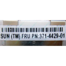 Серверная память SUN (FRU PN 371-4429-01) 4096Mb (4Gb) DDR3 ECC в Северодвинске, память для сервера SUN FRU P/N 371-4429-01 (Северодвинск)