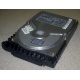 Жесткий диск 18.4Gb Quantum Atlas 10K III U160 SCSI (Северодвинск)