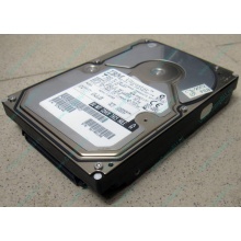 Жесткий диск 18.2Gb IBM Ultrastar DDYS-T18350 Ultra3 SCSI (Северодвинск)