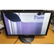 ViewSonic VA2413WM-2 разбитая матрица (Северодвинск)