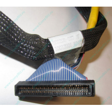 Кабель SCSI HP 166298-037 для HP ML370 G4 (Северодвинск)