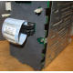 HP 365664-001 кабель SCSI для корзины 373108-001 / 359719-001 HP ML370G4 (Северодвинск)