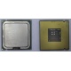 Процессор Intel Celeron D 336 (2.8GHz /256kb /533MHz) SL98W s.775 (Северодвинск)