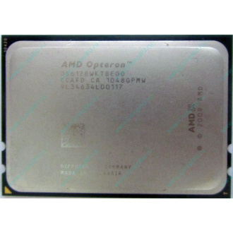 AMD Opteron 6128 OS6128WKT8EGO (Северодвинск)