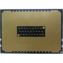 AMD Opteron 6128 OS6128WKT8EGO (Северодвинск)
