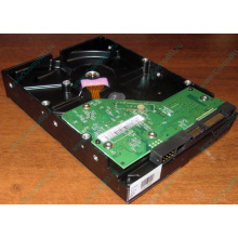 Жесткий диск 500Gb WD WD5000AAKX HP 634605-003 613208-001 7.2k SATA (Северодвинск)