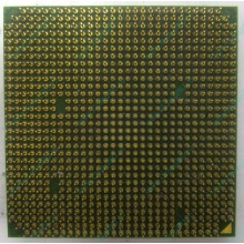 Процессор AMD Sempron 3000+ (1.6GHz) SDA3000IAA3CN s.AM2 (Северодвинск)