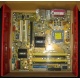 Материнская плата Asus P5L-VM 1394 s.775 (Северодвинск)